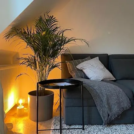 Duplex In The Historic Heart Of - 3rd Floor *